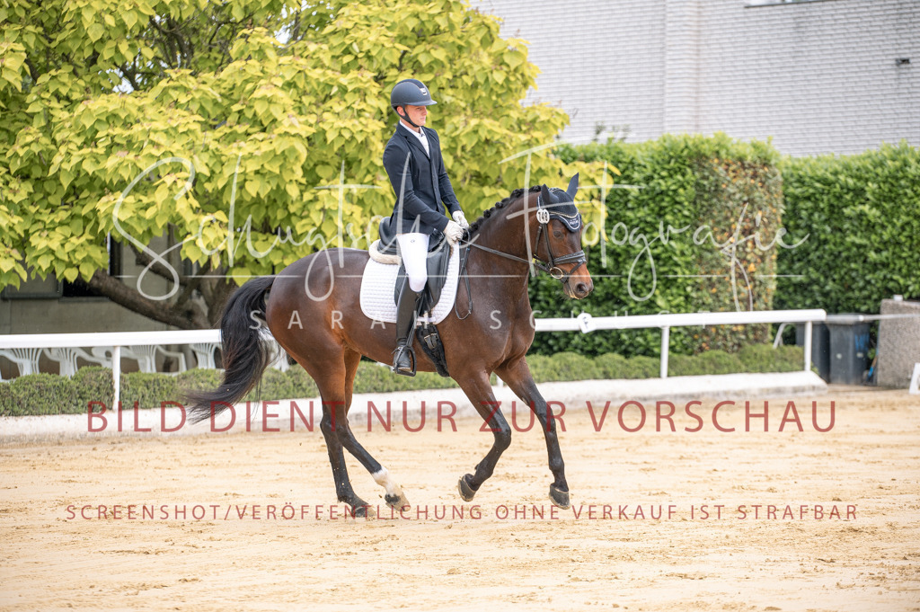 Schugtsche-Aluta25-41.Amat-Dressurprf.A_-36 | Schugtsche Fotografie - Realisiert mit Pictrs.com
