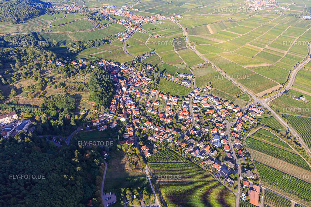 Winzerdorfübersicht zwischen Weinbergen aus Süden | Luftbild: Winzerdorfübersicht zwischen Weinbergen aus Süden in Gleisweiler im Bundesland Rheinland-Pfalz in Deutschland. Foto: IMG_111763.jpg vom 16.09.2018 durch Werner Riehm/FLY-FOTO.de - Realisiert mit Pictrs.com