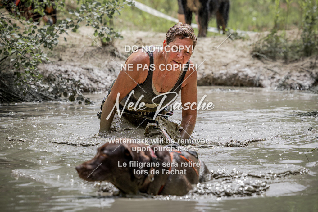 nelerasche_so1330-1400_74 | nelerasche