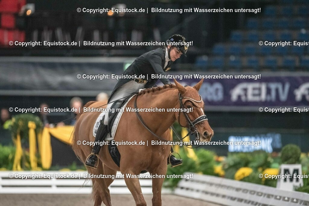 20231115_20_Dressur_Kl-S++_0238_TOMsPiC | Foto: Thomas Hartig