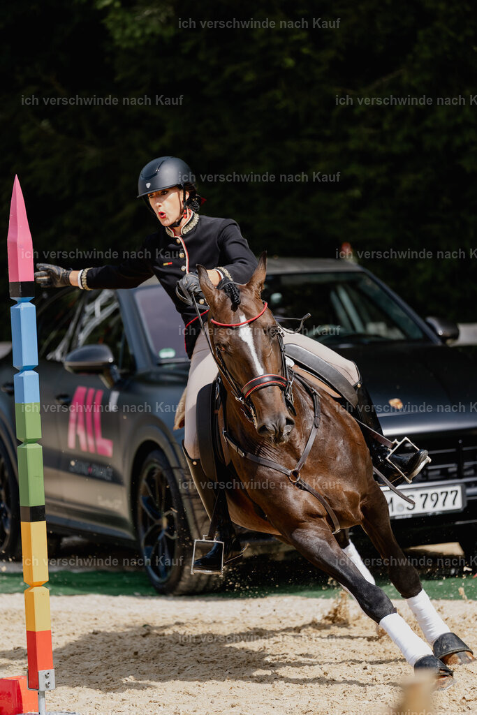 Virginie12FHC2025-3054 | working equitationturnier fotograf videograf stoibphotography marixx film working equitation deutschland reitsport turnierfotografie eventfotografie equestrian events