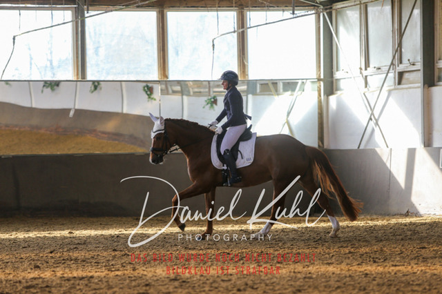 IMG_2152 | Turniersportfotografie; Pferdefotografie; Dressurfotografie