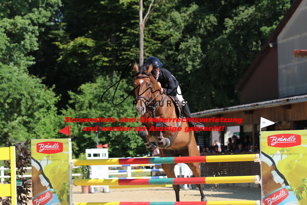 IMG_3073 | lmwpictures - Realisiert mit Pictrs.com