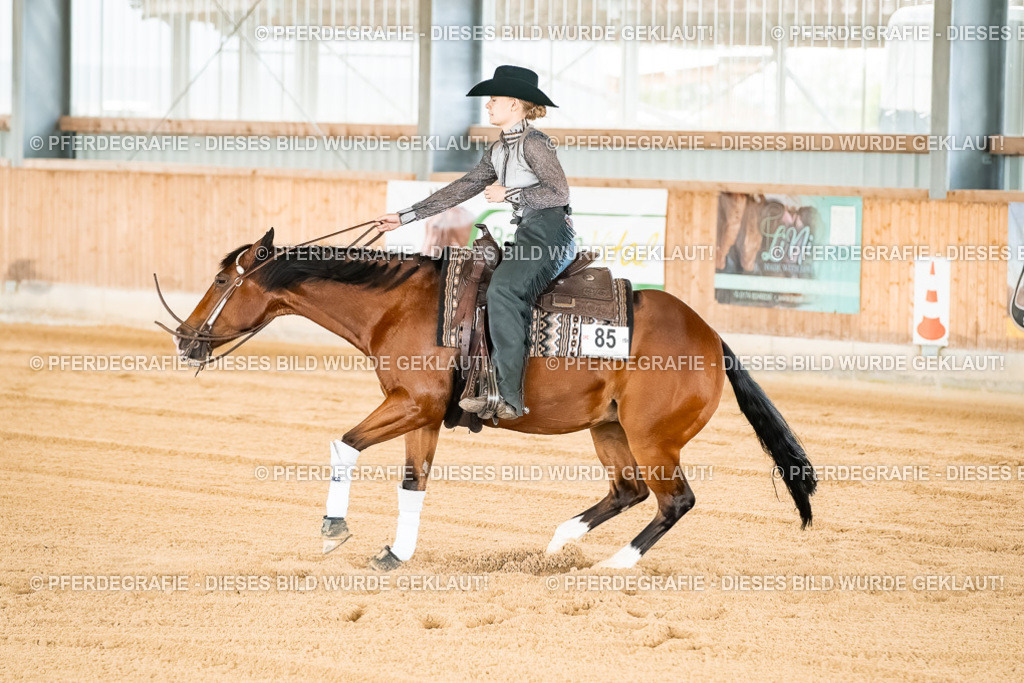 DSC02777 | Pferdegrafie