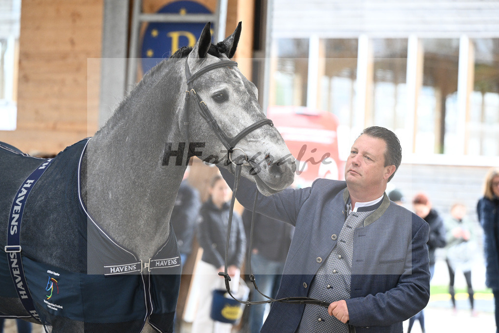 Kat-Nr. 97 Dominard v d Reeberg Z v. Dominator Z_KES GmbH_7240429 | hf-fotografie - Realisiert mit Pictrs.com