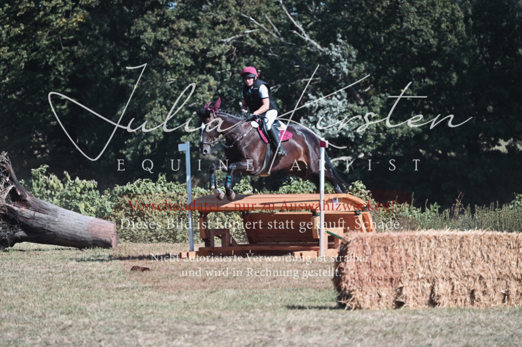 DSC_8557 | Pferde- und Turnierfotografie in Westsachsen. Pferdeportraits, Auftragszeichnungen und intuitive Kunst.