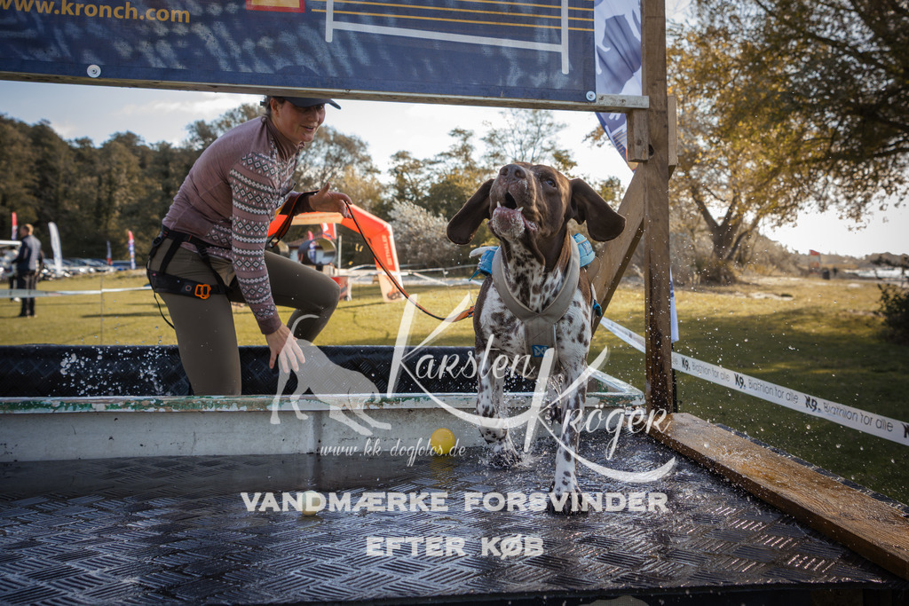 1227_ZZ96490-2 | kk-dogfotos
