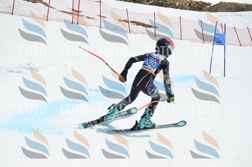 _ELE1371 | holidayphoto