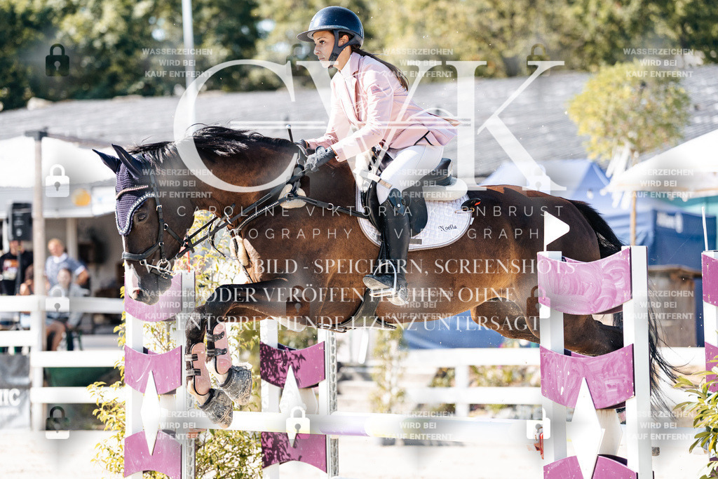 CK907717 | Turnierfotografie Pferdefotografie Trier Rheinland-Pfalz Pferdesport Reitsport Tierfotografie Sportfotografie Pferdevideo Pferdevideografie Equestrianvideography equestrianphotography  - Realisiert mit Pictrs.com