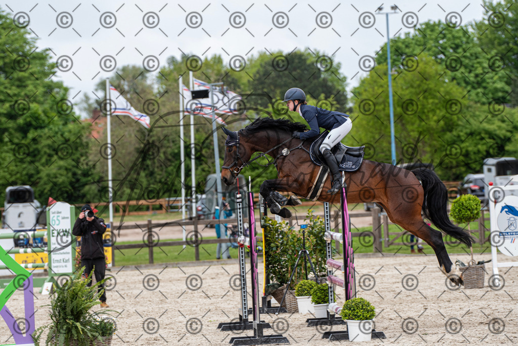 KPT_9996 | andre_photographic