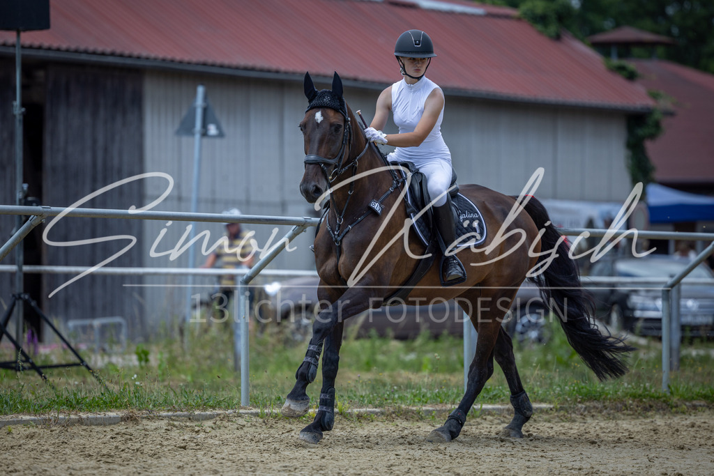 20260704-_3LI8833 | Tierfotografie Pferde, Hunde, Katzen, Haustiere.
Turnierfotografie Reitturniere, Reiten, Springreiten, Dressur in Hanau, dem Main-Kinzig-Kreis und dem Rhein-Main- Gebiet um Frankfurt