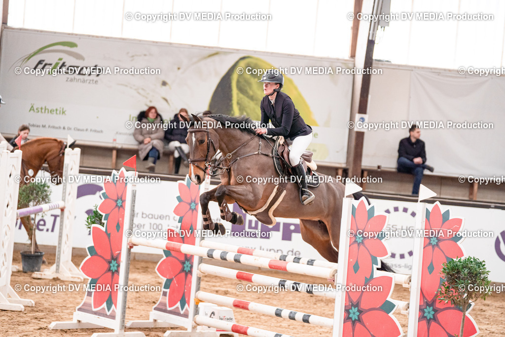 Kranichstein Tag 3-883 | dv-media-shop - Realisiert mit Pictrs.com