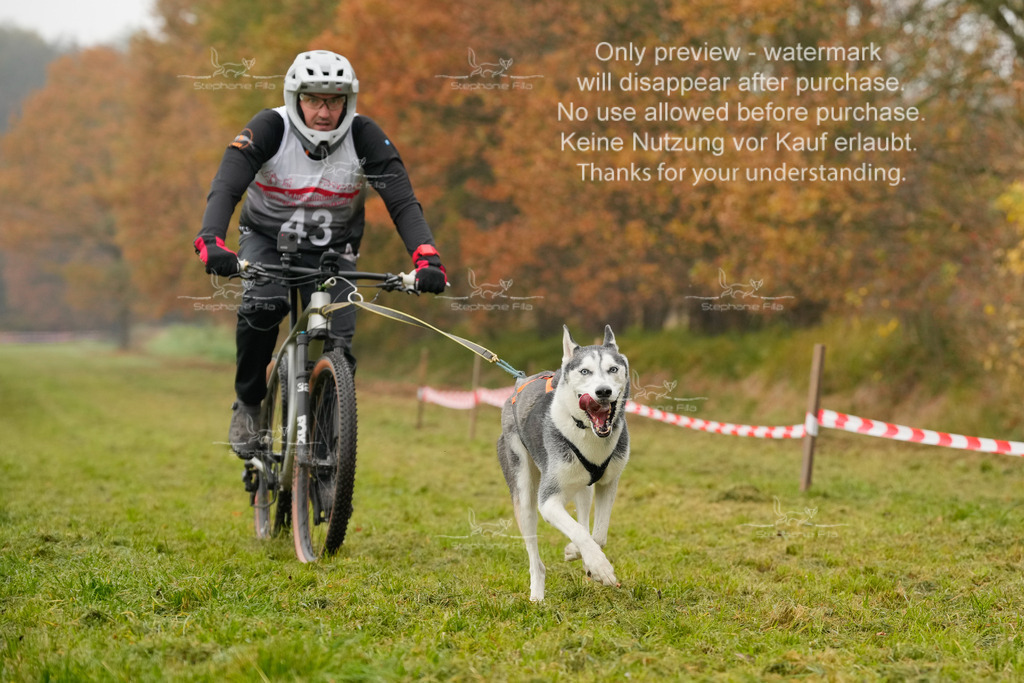 Visbeck_Sa_Bike-34 | stephaniefillaphotographie - Realisiert mit Pictrs.com