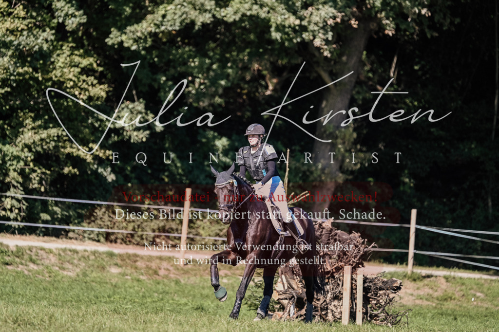 DSC_3519 | Pferde- und Turnierfotografie in Westsachsen. Pferdeportraits, Auftragszeichnungen und intuitive Kunst.