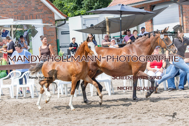 Fiesoythe DR-202 | mandyhollmannphotographie