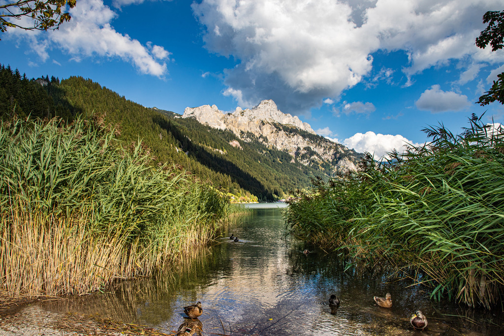 In den Alpen 7 | fotografie-bernd-pfalzgraf - Realisiert mit Pictrs.com