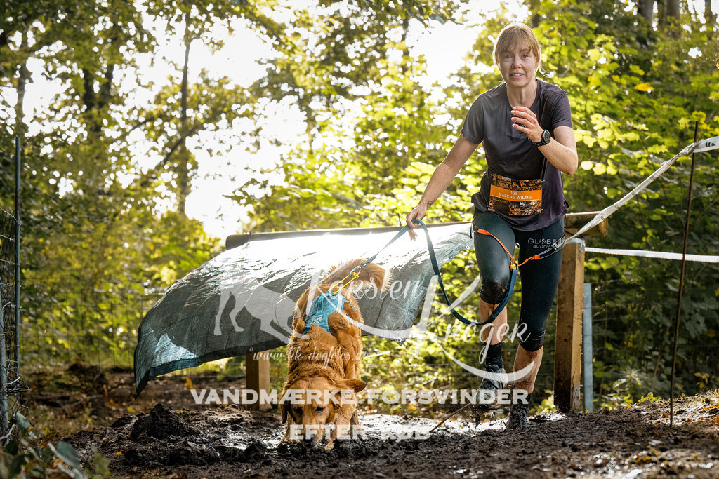 1450DZ6_3588-BearbeitetZ6 | kk-dogfotos