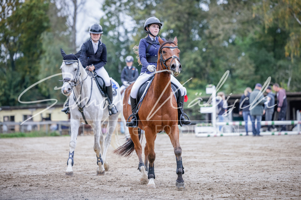 20251012-_3LI3160 | Tierfotografie Pferde, Hunde, Katzen, Haustiere.
Turnierfotografie Reitturniere, Reiten, Springreiten, Dressur in Hanau, dem Main-Kinzig-Kreis und dem Rhein-Main- Gebiet um Frankfurt