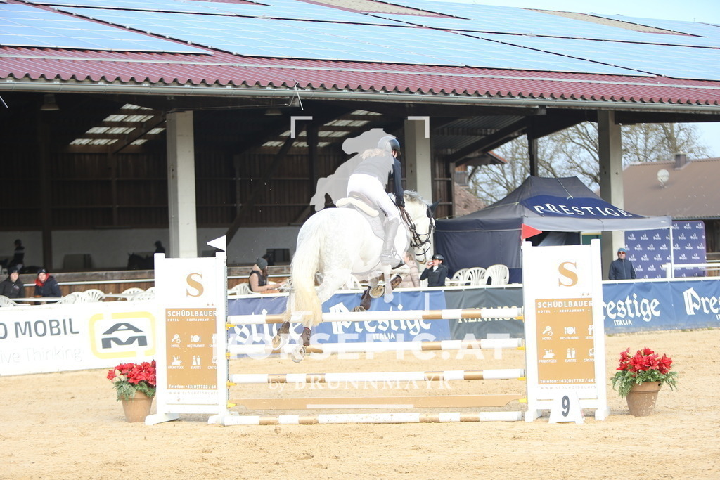 DL2Q0402 | Willkommen bei Brunnmayr - Design & Fotografie – Ihrem Spezialisten für Reitturniere und Pferdeveranstaltungen in Oberösterreich, Salzburg und Bayern! Seit über 17 Jahren sind wir leidenschaftlich dabei.