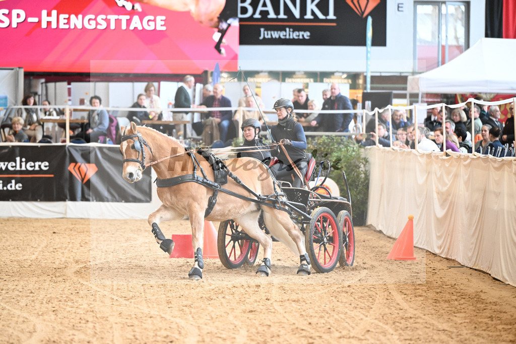 Schauprogramm Haflinger Fahrsport_2251448 | hf-fotografie - Realizzato con Pictrs.com