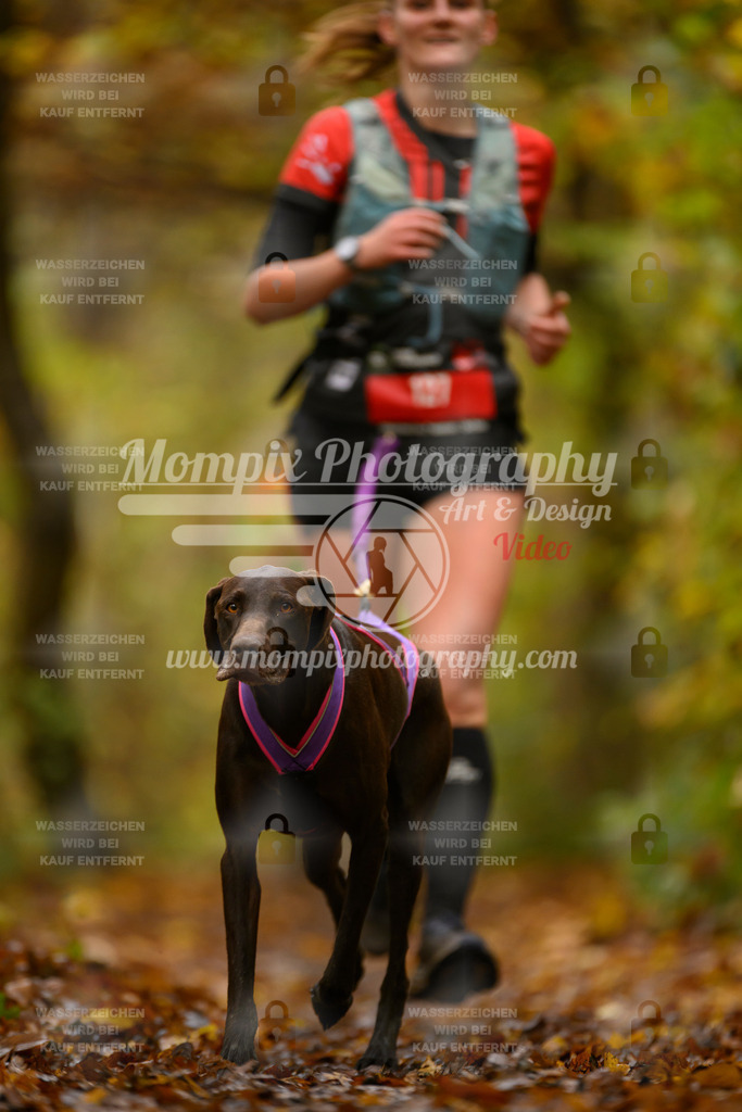 MompixPhotography_CD7S_DI_CCL-101 | mompixphotography