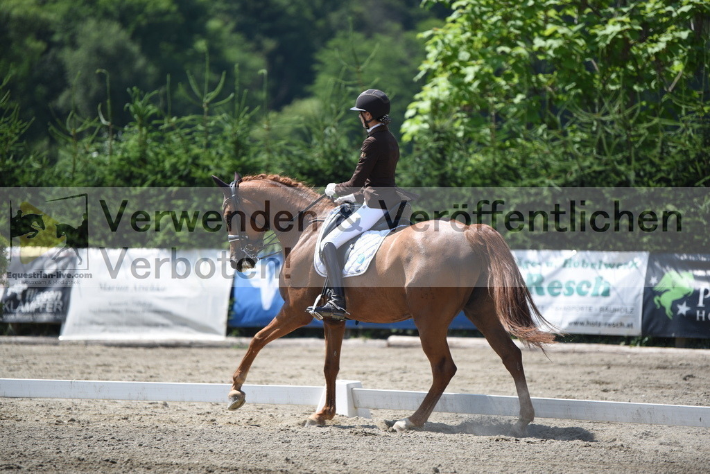 DSC_1474 | equestrian-live-com