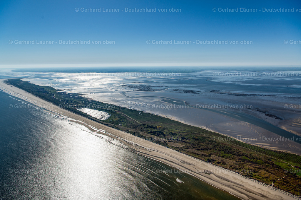 3801453 | Juist, Nationalpark Niedersächsisches Wattenmeer