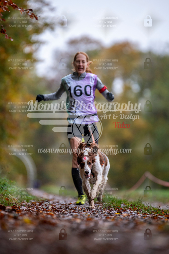 DBT_DAKM_SA_4_11_2023_Canicross-95 | PayLife