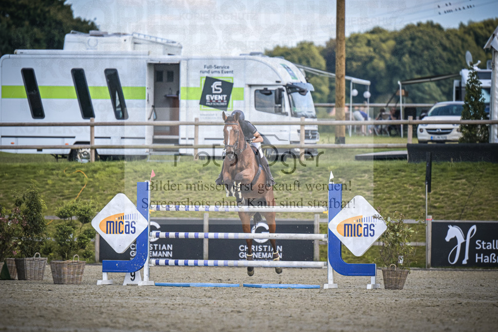DOS_0899 | Entdecke hochwertige Reitturnierfotos von Foto Oger. Professionell, emotional und authentisch – jetzt Lieblingsmomente im Shop bestellen.Deutschlandweite Turnierfotografie. - Realisiert mit Pictrs.com