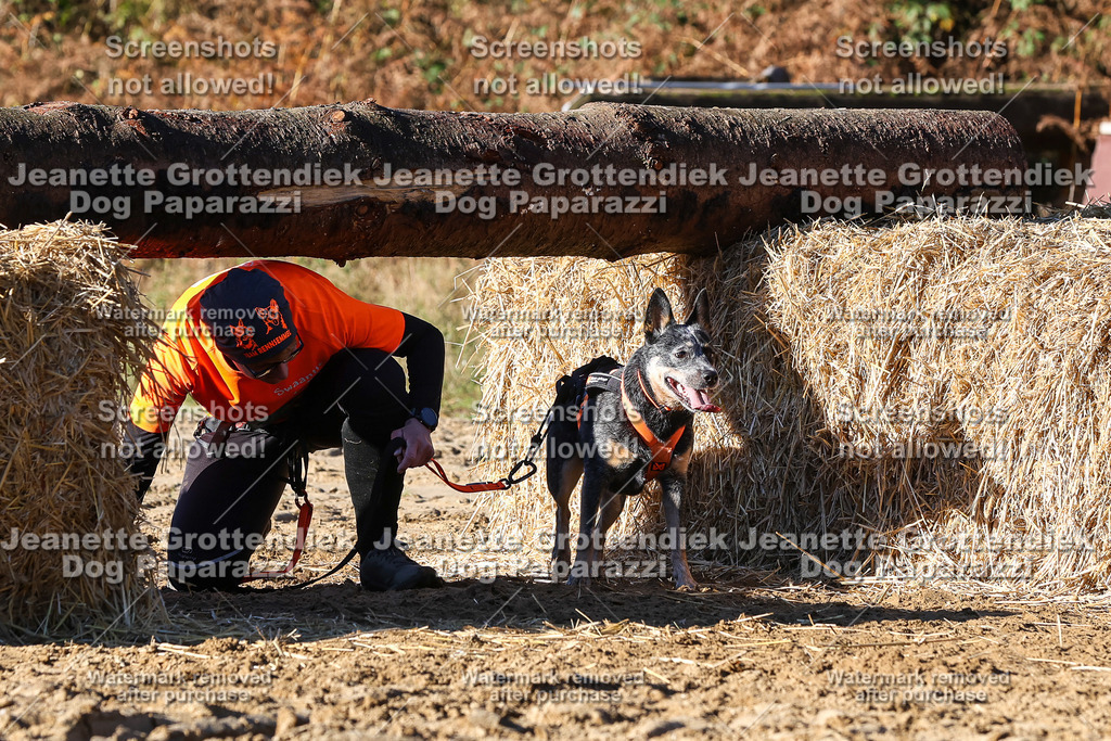Dog Paparazzi - Strongdog 10-25-1800 | Dog Paparazzi Jeanette Grottendiek Fotografie & Videografie - Realisiert mit Pictrs.com