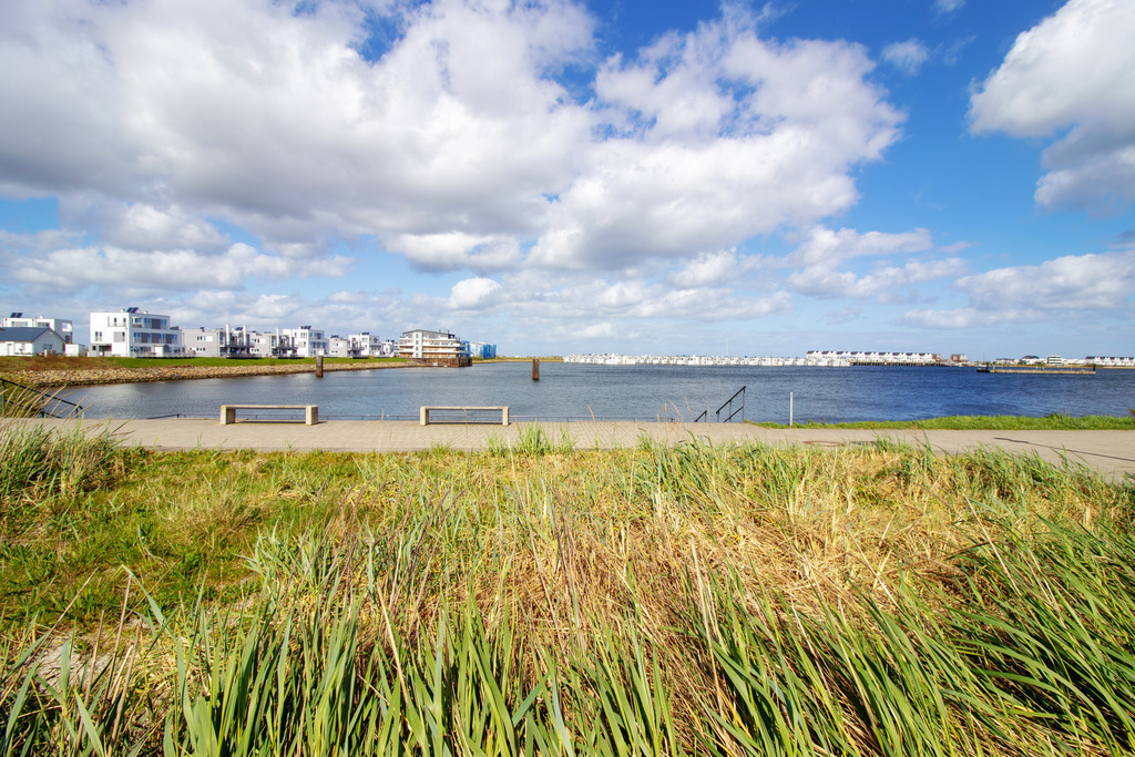 Wandbild: Strandgras an der Promenade in Olpenitz | Dieses Wandbild im Querformat zeigt Strandgras an der Promenade in Olpenitz. Am blauen Himmel sind zahlreiche Wolken zu sehen.  - Realisiert mit Pictrs.com