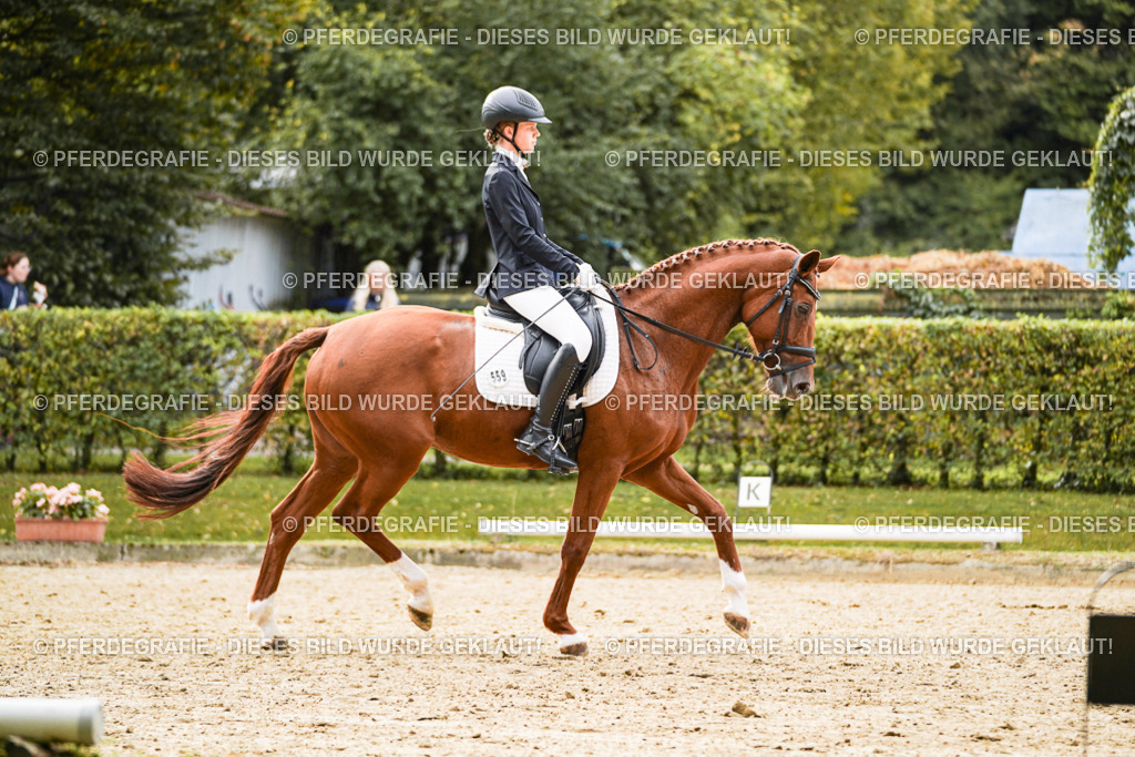 DSC07679 | Pferdegrafie