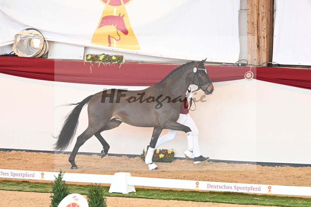 Kat.-Nr. 71 v. Va Bene_Müller_2240942 | hf-fotografie - Realisiert mit Pictrs.com