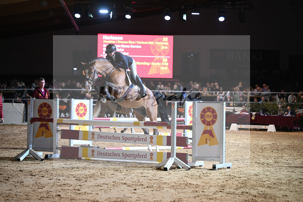 Harrison_1234670 | hf-fotografie - Realisiert mit Pictrs.com