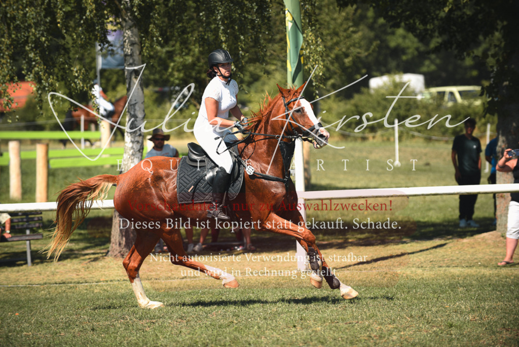 DSC_7132 | Pferde- und Turnierfotografie in Westsachsen. Pferdeportraits, Auftragszeichnungen und intuitive Kunst.