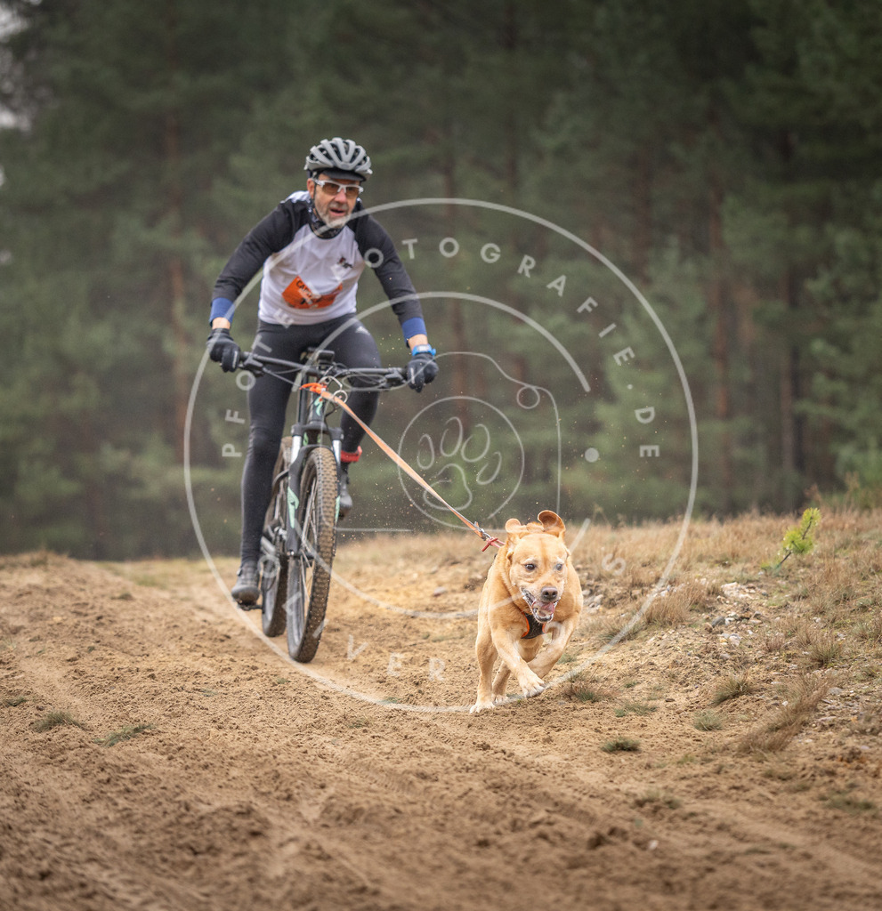 Pfotenfotografie_DV3A3983 | Hundefotografie, Tierfotograf, Pfotenfotografie, Fotoshooting Hund, Hunde Portrait, Hundesport, Hundeportraits, Heideshooting, Hunde, Sportfotograf, Hundefotograf, Turnierhundsport, THS,  - Realisiert mit Pictrs.com