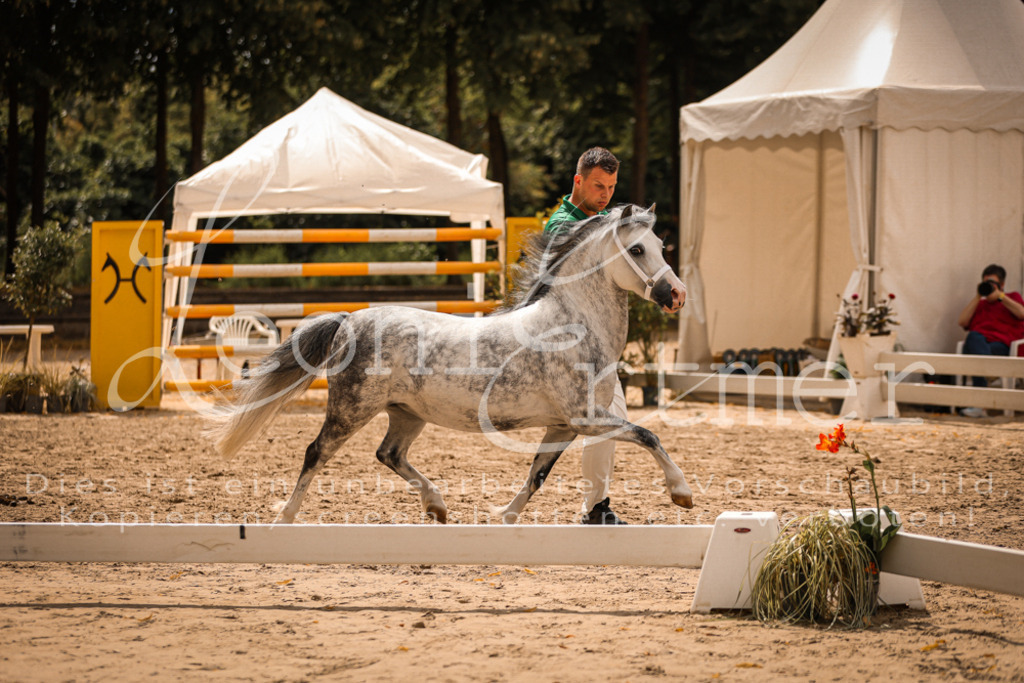 04.So00053 | Leoni Ertmer Photography - Realisiert mit Pictrs.com