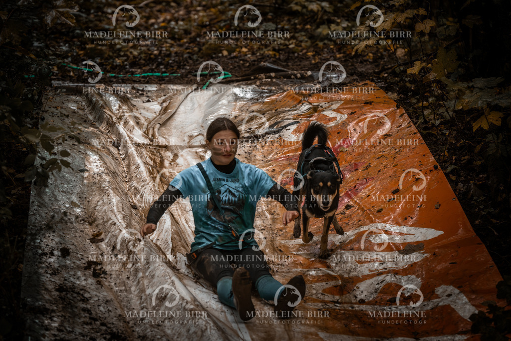 madeleinebirr-fotografie2025.campcanis.sa.15-16Uhr-14 | hundefotografie-birr