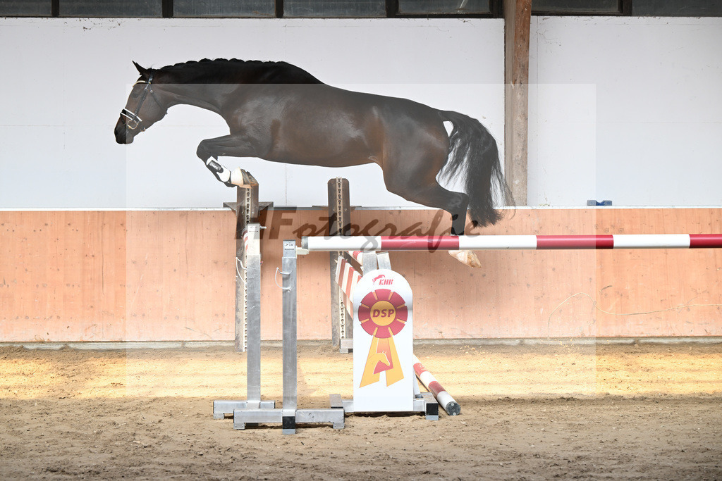 Kat-Nr. 9 Laurena_Kuehnle u Langhammer_49220051 | hf-fotografie - Realisiert mit Pictrs.com