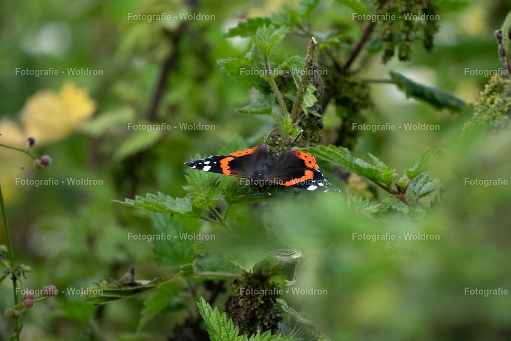 20230815 Isle of Sky - St.Andrews - Dundee-51 | Fotografie Woldron