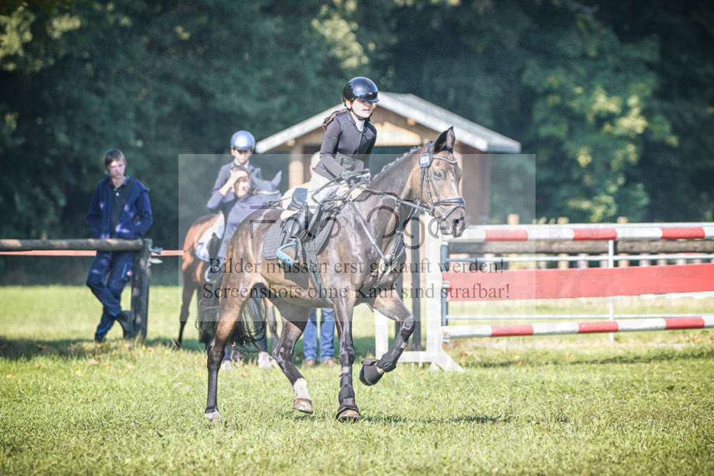 DOS_0807 | Entdecke hochwertige Reitturnierfotos von Foto Oger. Professionell, emotional und authentisch – jetzt Lieblingsmomente im Shop bestellen.Deutschlandweite Turnierfotografie. - Realisiert mit Pictrs.com