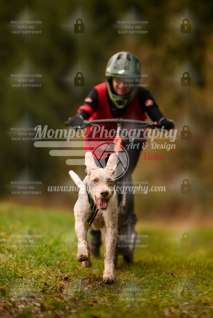 MompixPhotography_2SSTSSBW_2025_SO_Scooter-47 | PayLife