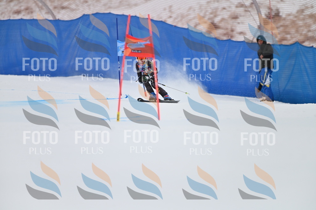 BGV_2418 | holidayphoto