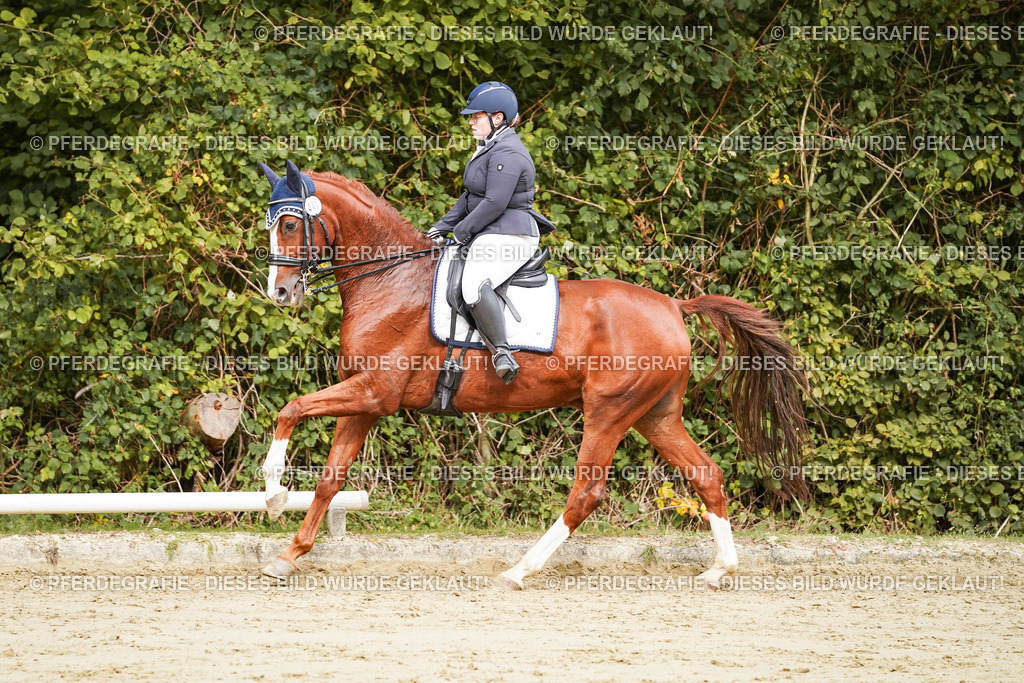 DSC03205 | Pferdegrafie