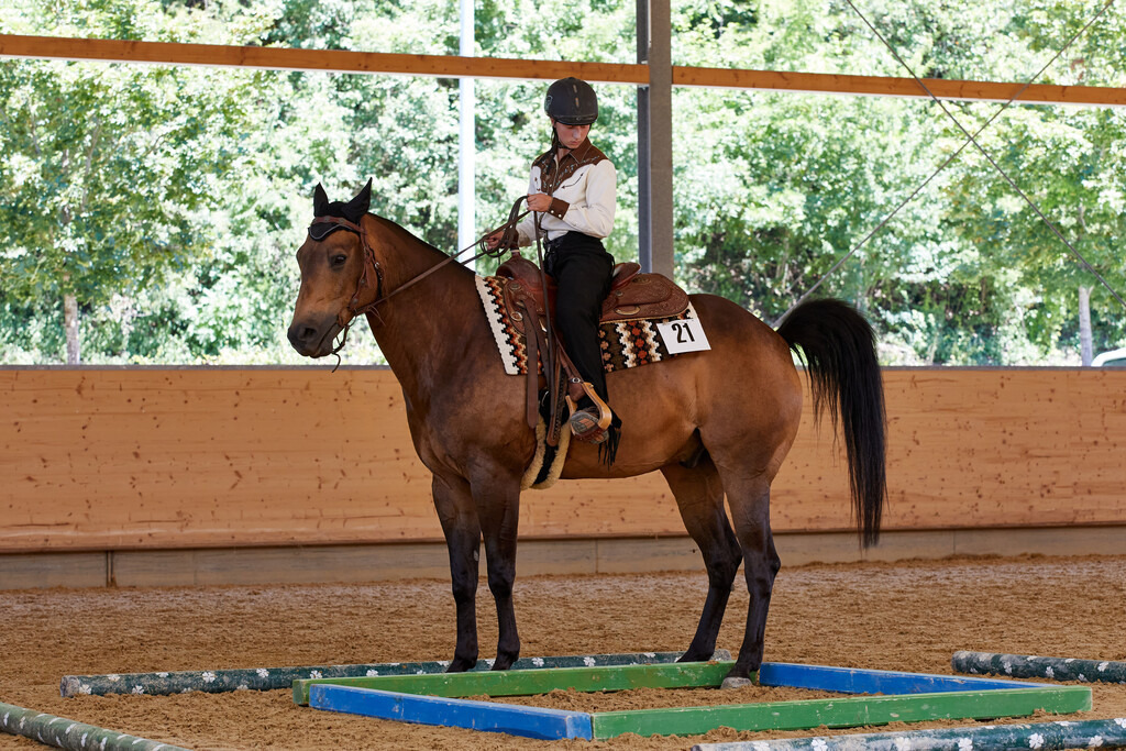 2020_07_19 Schweizersbild 099 | Peter Fridle Fotografie - Realisiert mit Pictrs.com