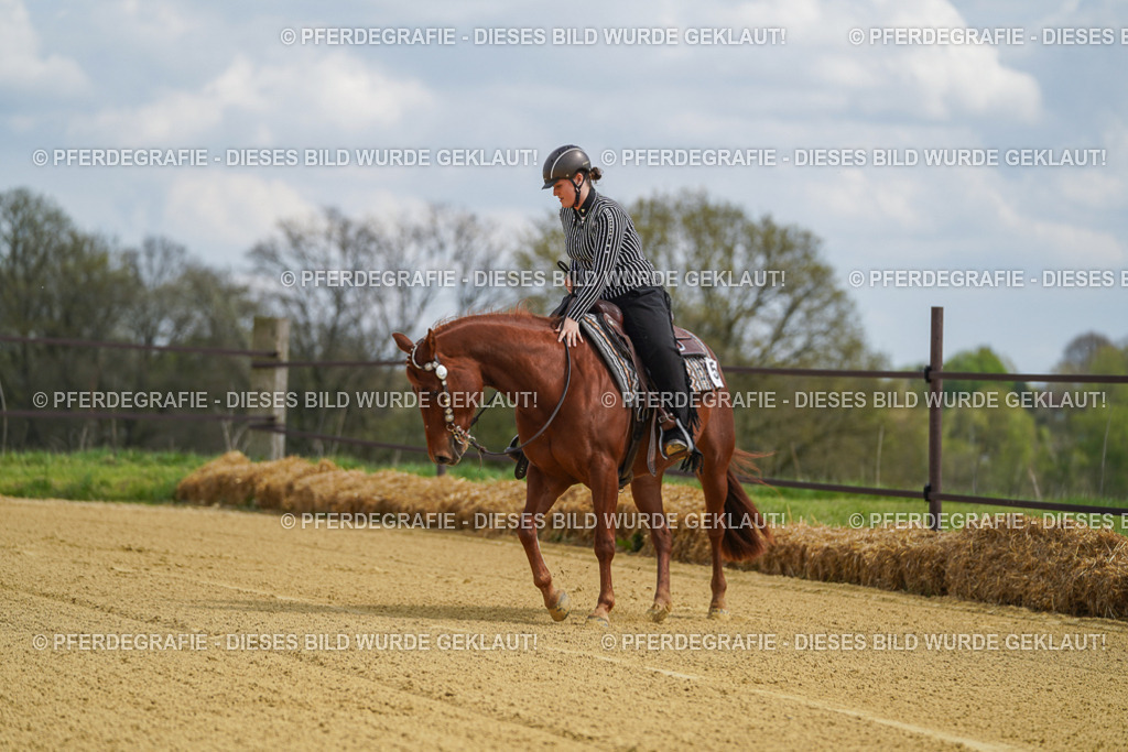 DSC05585 | Pferdegrafie