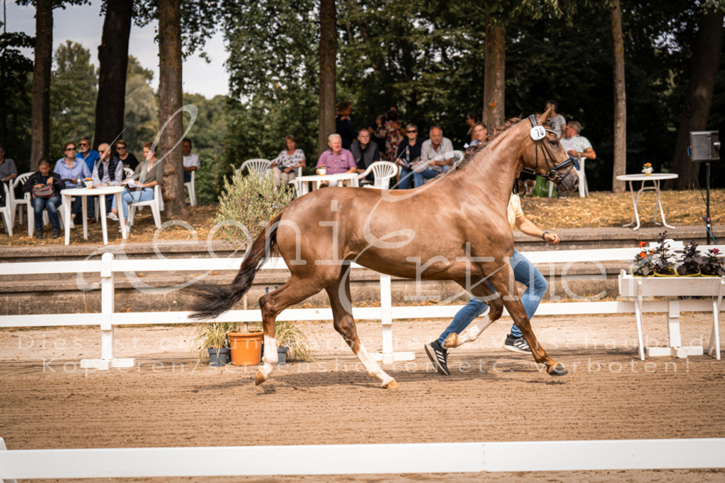 4.Fr00041 | Leoni Ertmer Photography - Realisiert mit Pictrs.com