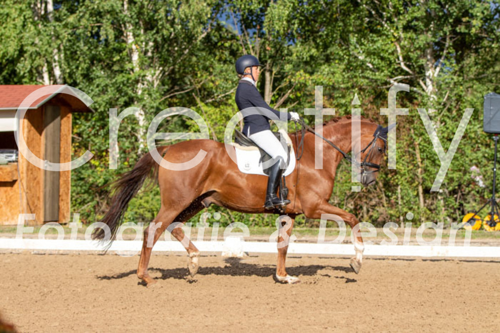 IMG_4704 | Creatify Fotografie