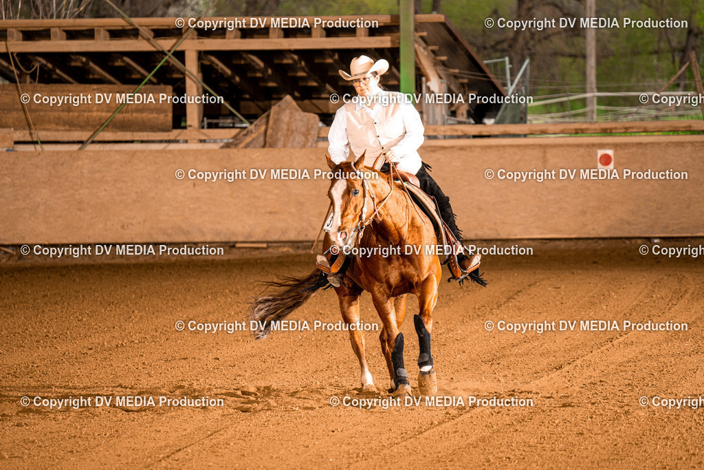 BAL01053 | dv-media-shop - Realisiert mit Pictrs.com