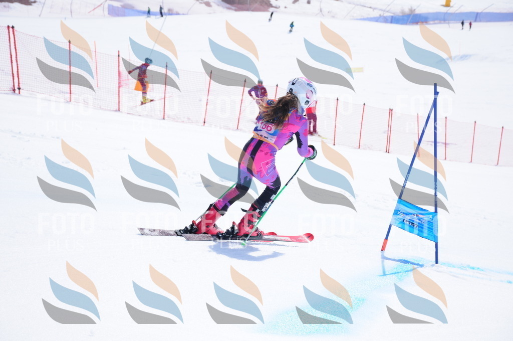 DSC_5335 | holidayphoto